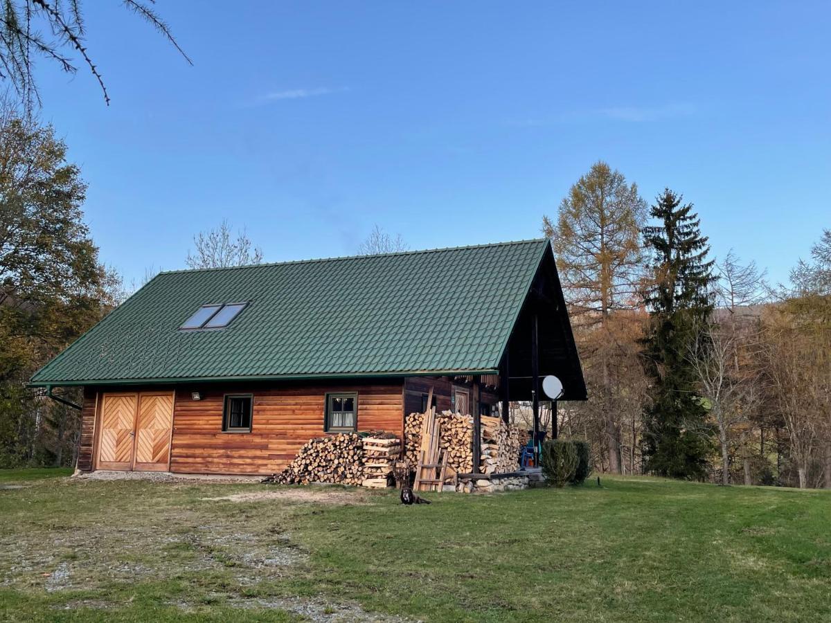Berghuette, Chalet - Schwarzenberg Am Boehmerwald Schwarzenberg am Bohmerwald Eksteriør bilde